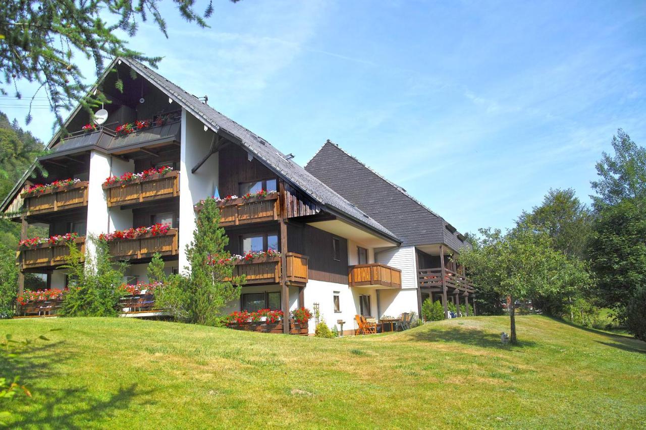 C3 Albmatte-Fewo Sauna, Hallenbad Aussenbecken Massagen Nebenan St. Blasien Εξωτερικό φωτογραφία