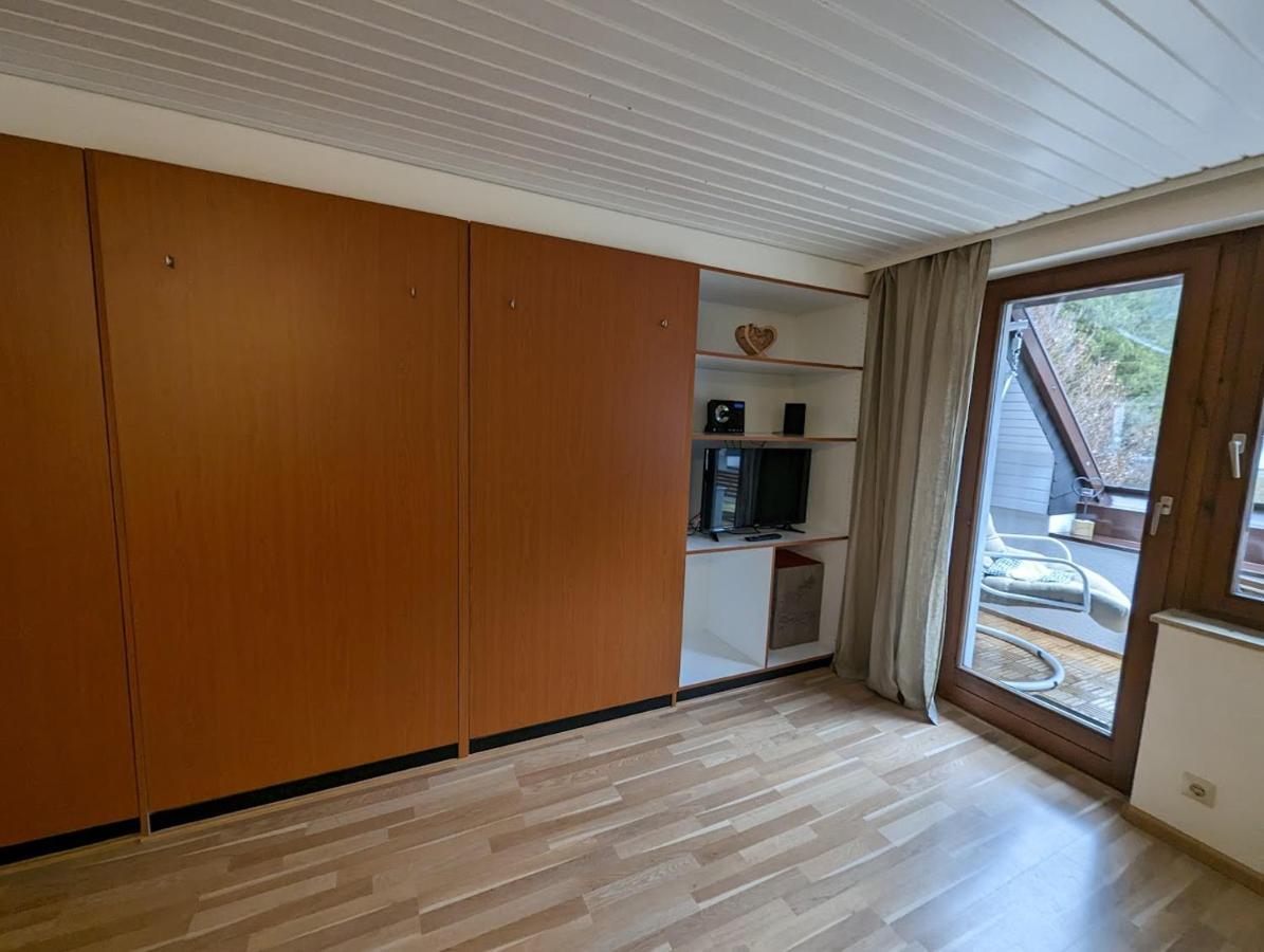 C3 Albmatte-Fewo Sauna, Hallenbad Aussenbecken Massagen Nebenan St. Blasien Εξωτερικό φωτογραφία