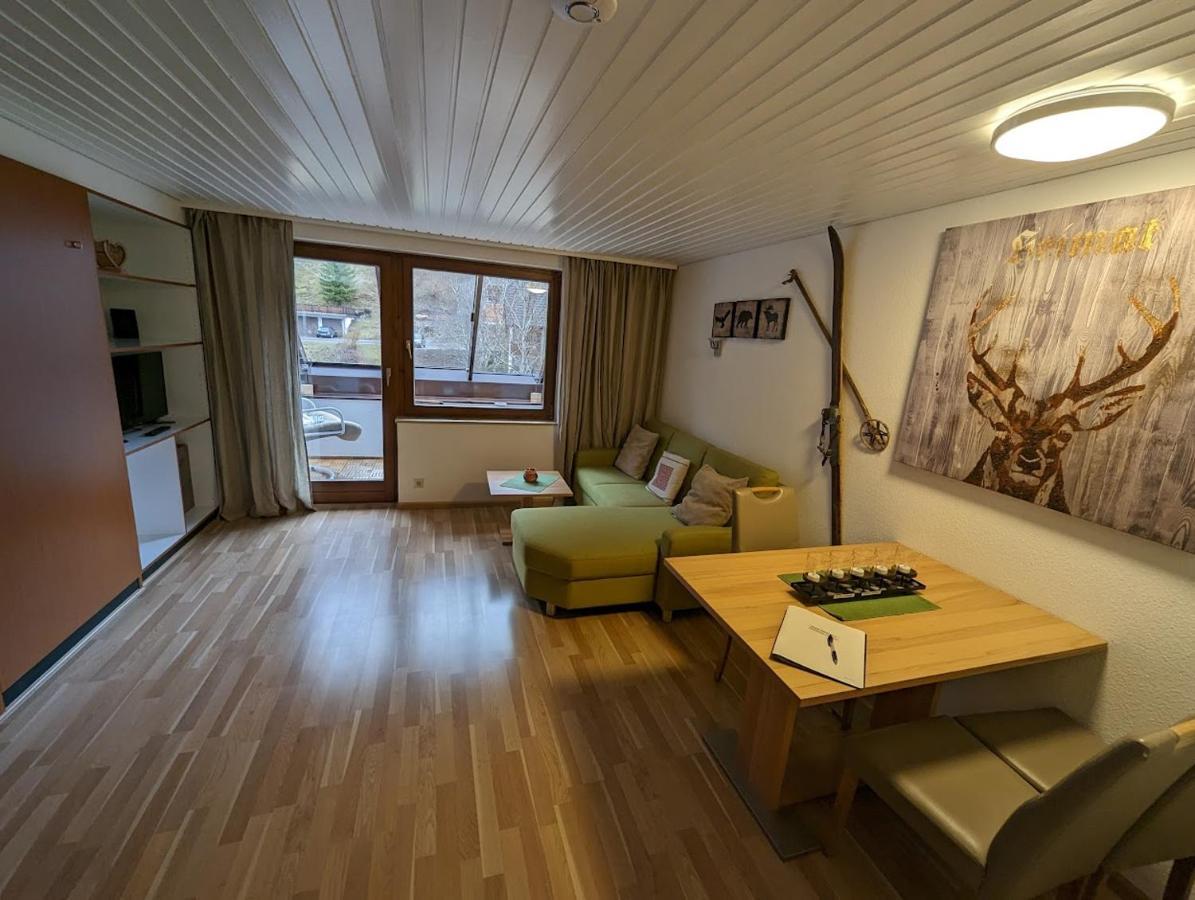 C3 Albmatte-Fewo Sauna, Hallenbad Aussenbecken Massagen Nebenan St. Blasien Εξωτερικό φωτογραφία