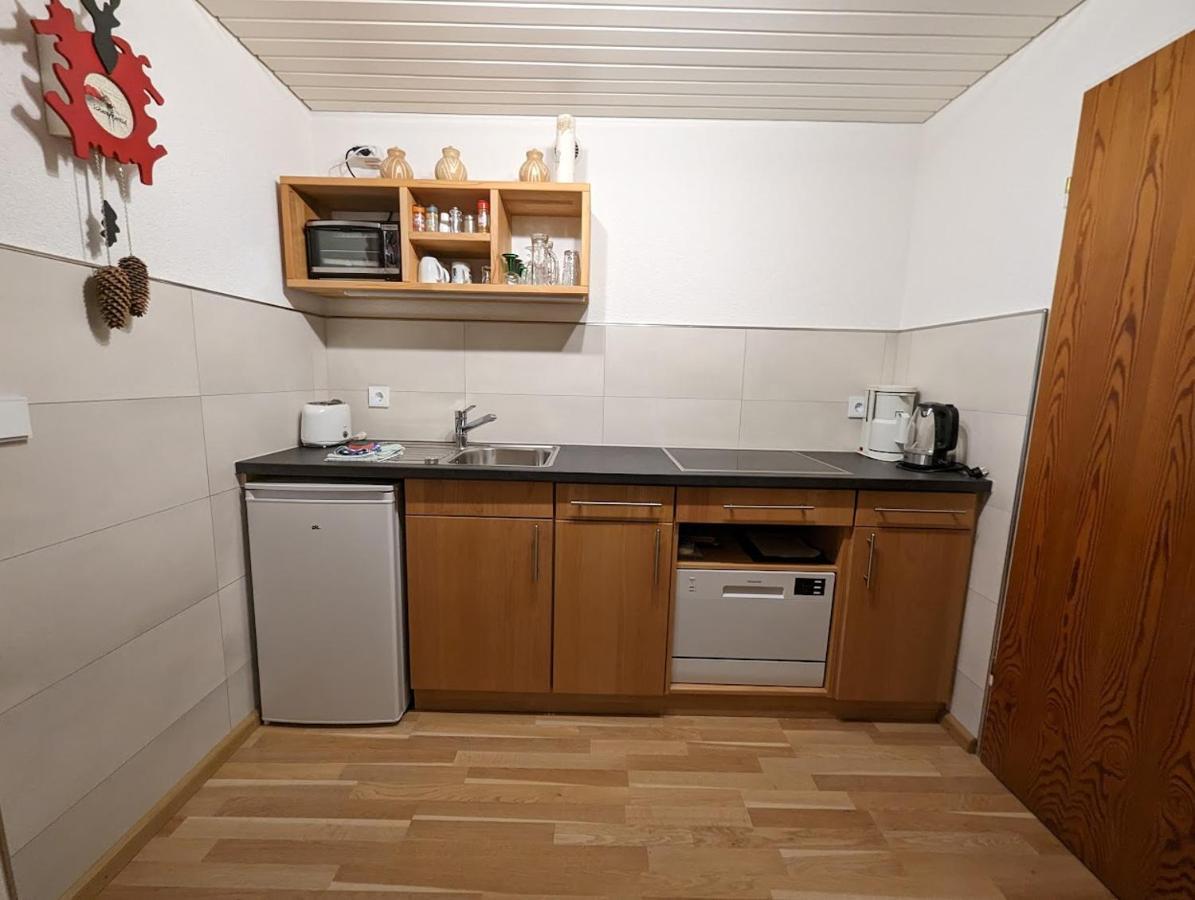 C3 Albmatte-Fewo Sauna, Hallenbad Aussenbecken Massagen Nebenan St. Blasien Εξωτερικό φωτογραφία