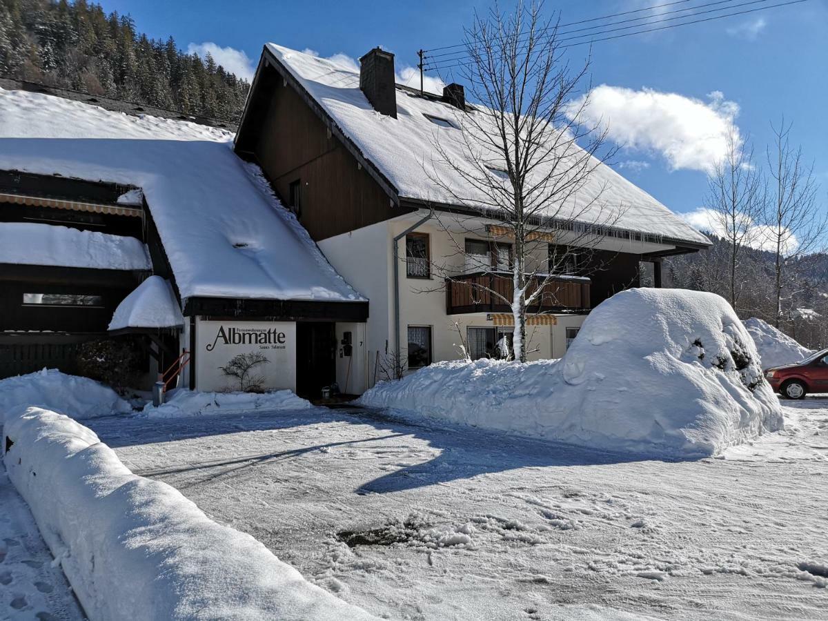 C3 Albmatte-Fewo Sauna, Hallenbad Aussenbecken Massagen Nebenan St. Blasien Εξωτερικό φωτογραφία