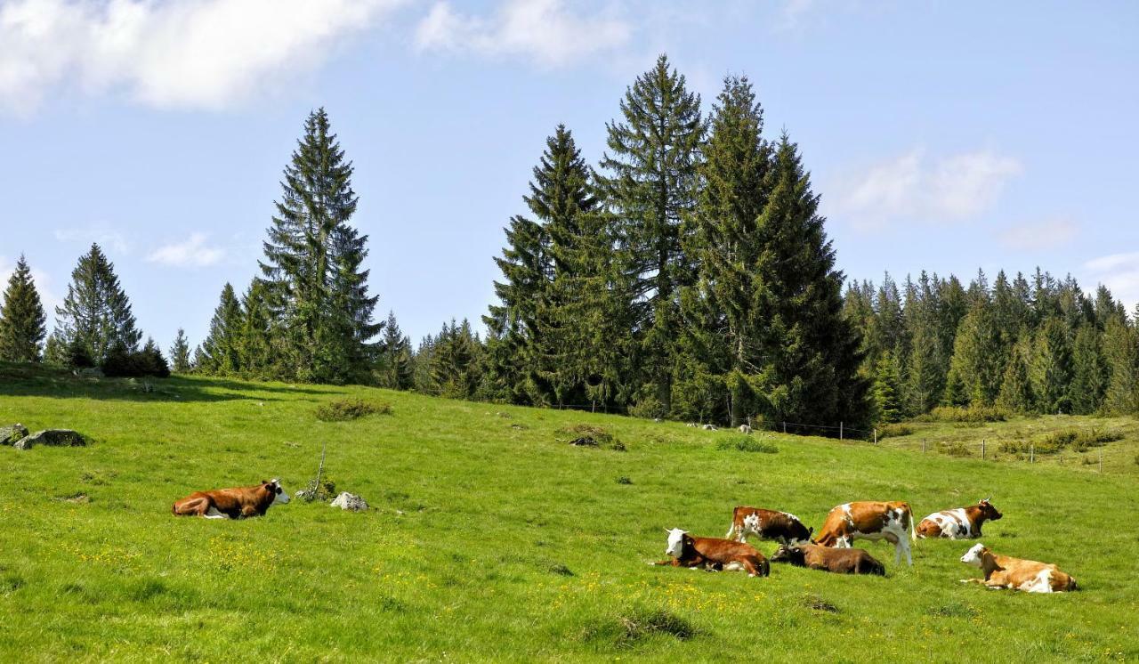 C3 Albmatte-Fewo Sauna, Hallenbad Aussenbecken Massagen Nebenan St. Blasien Εξωτερικό φωτογραφία