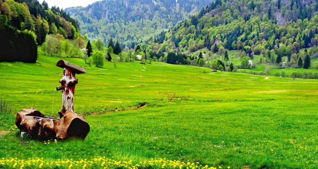 C3 Albmatte-Fewo Sauna, Hallenbad Aussenbecken Massagen Nebenan St. Blasien Εξωτερικό φωτογραφία