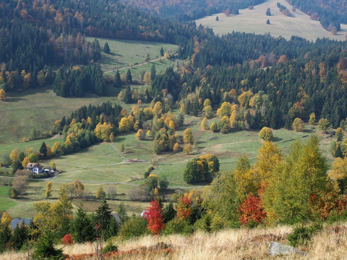 C3 Albmatte-Fewo Sauna, Hallenbad Aussenbecken Massagen Nebenan St. Blasien Εξωτερικό φωτογραφία
