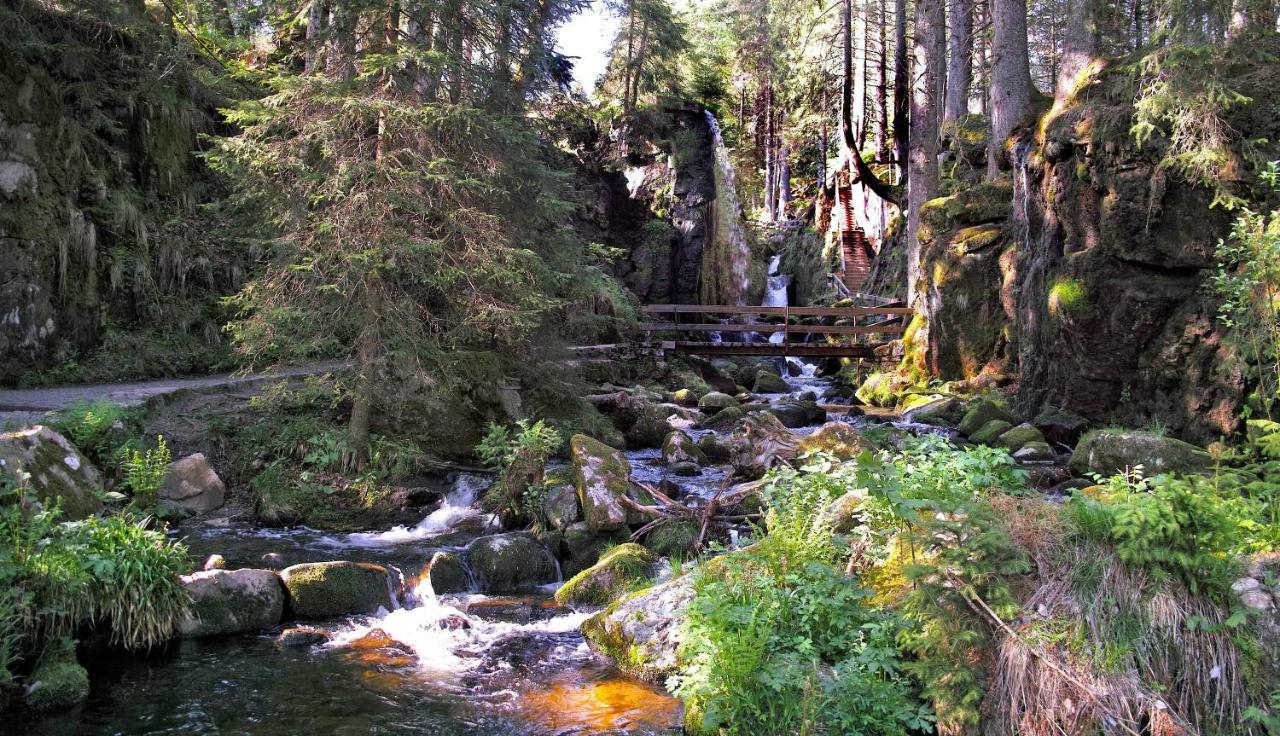 C3 Albmatte-Fewo Sauna, Hallenbad Aussenbecken Massagen Nebenan St. Blasien Εξωτερικό φωτογραφία