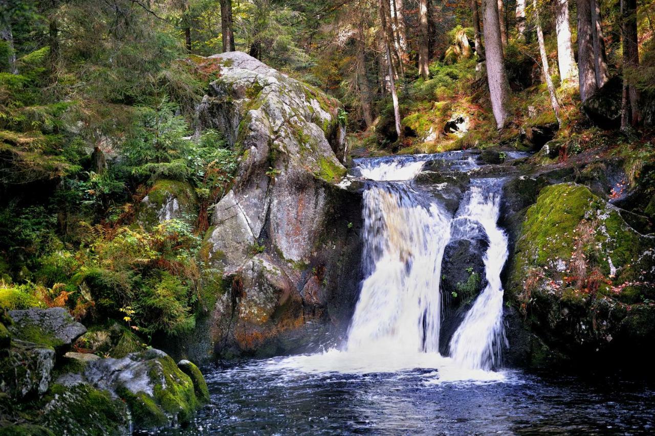 C3 Albmatte-Fewo Sauna, Hallenbad Aussenbecken Massagen Nebenan St. Blasien Εξωτερικό φωτογραφία