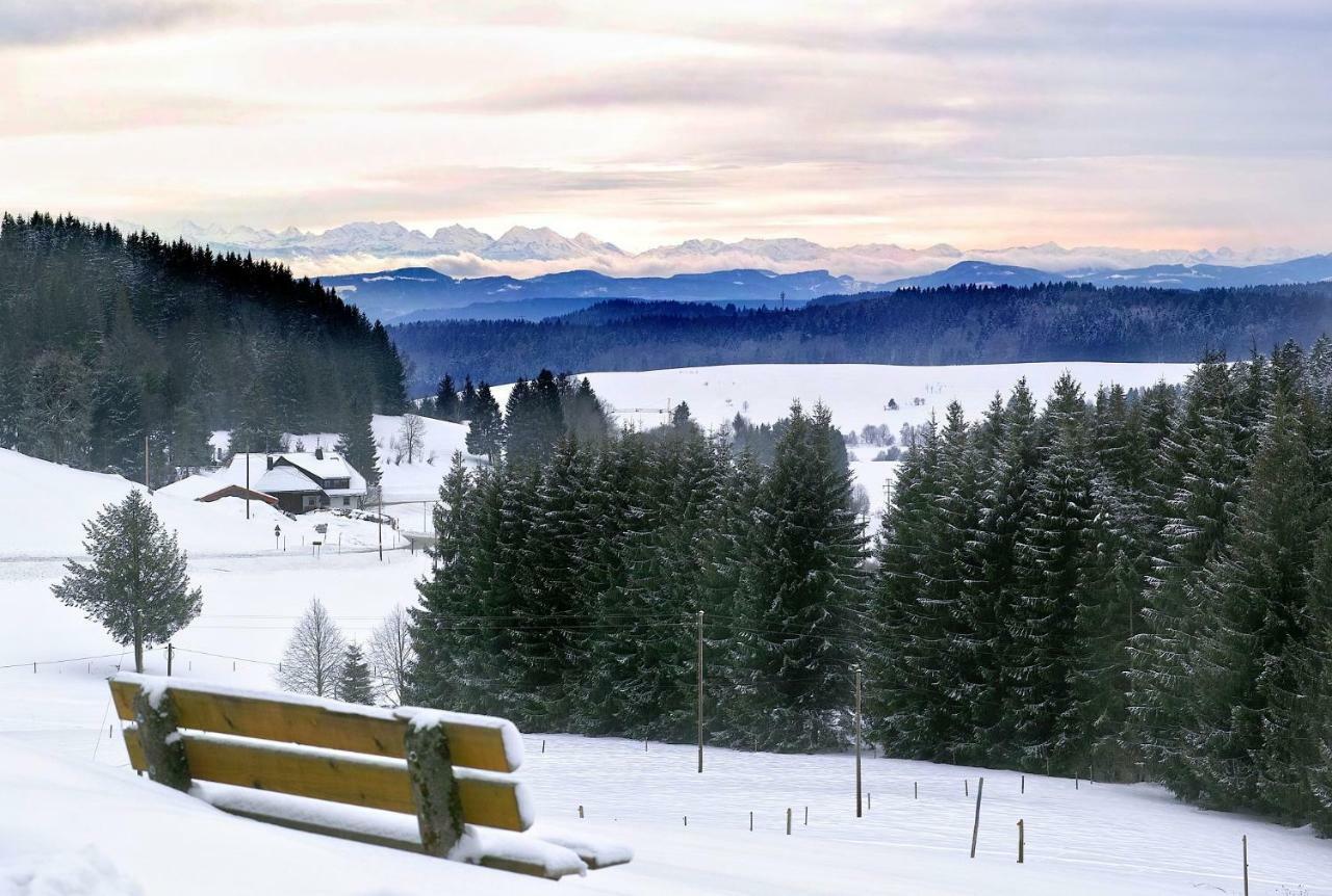 C3 Albmatte-Fewo Sauna, Hallenbad Aussenbecken Massagen Nebenan St. Blasien Εξωτερικό φωτογραφία