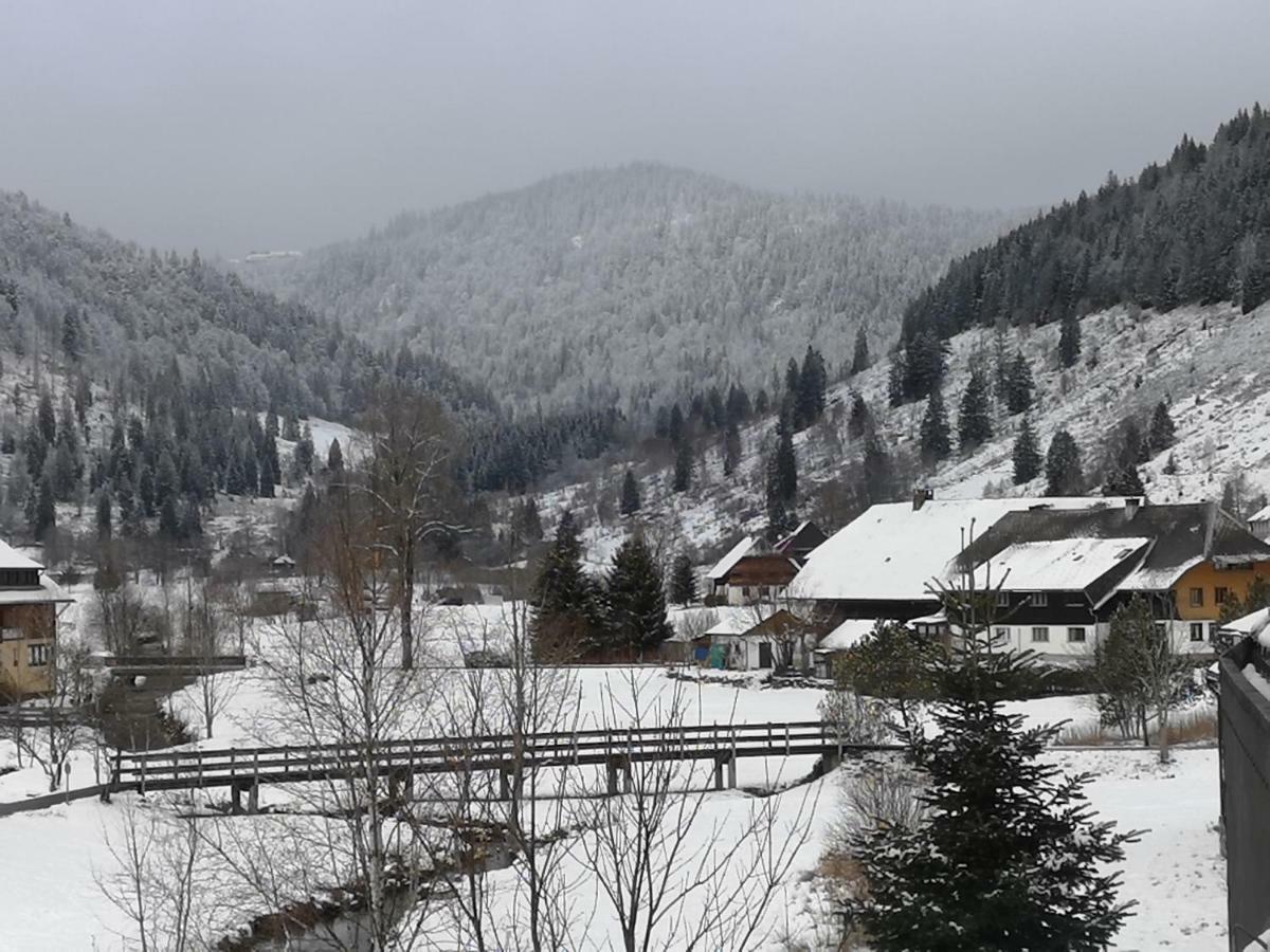 C3 Albmatte-Fewo Sauna, Hallenbad Aussenbecken Massagen Nebenan St. Blasien Εξωτερικό φωτογραφία