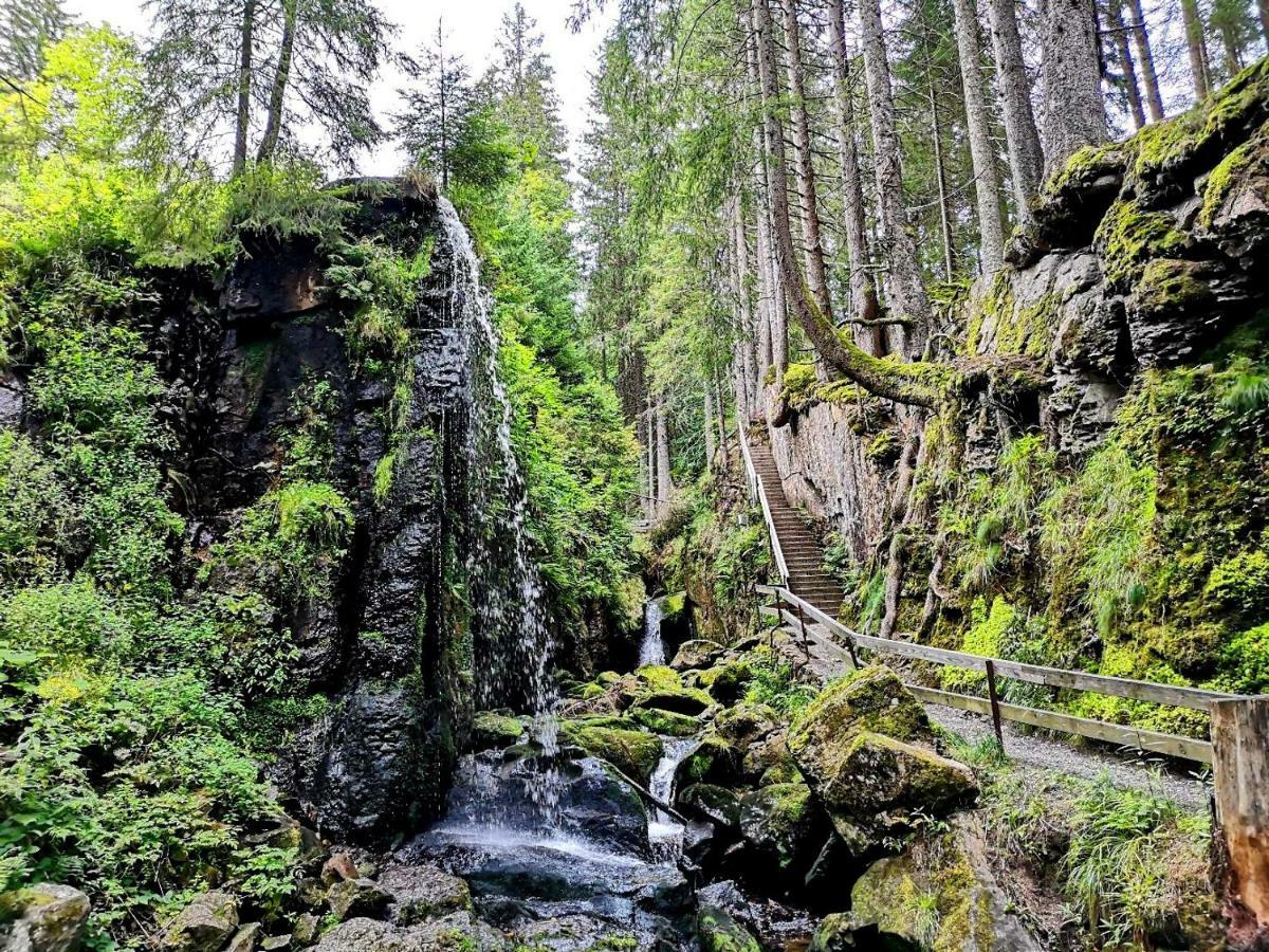 C3 Albmatte-Fewo Sauna, Hallenbad Aussenbecken Massagen Nebenan St. Blasien Εξωτερικό φωτογραφία