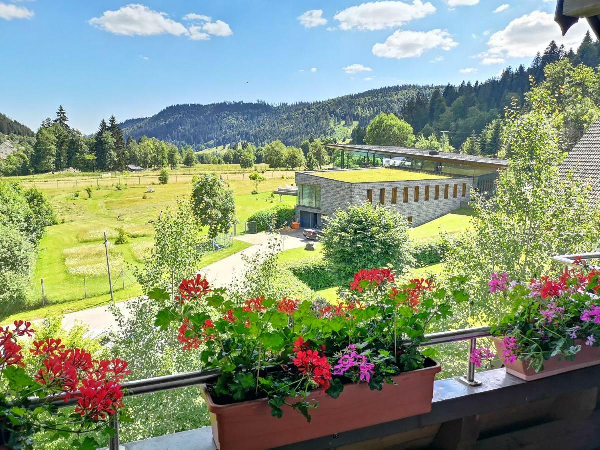 C3 Albmatte-Fewo Sauna, Hallenbad Aussenbecken Massagen Nebenan St. Blasien Εξωτερικό φωτογραφία