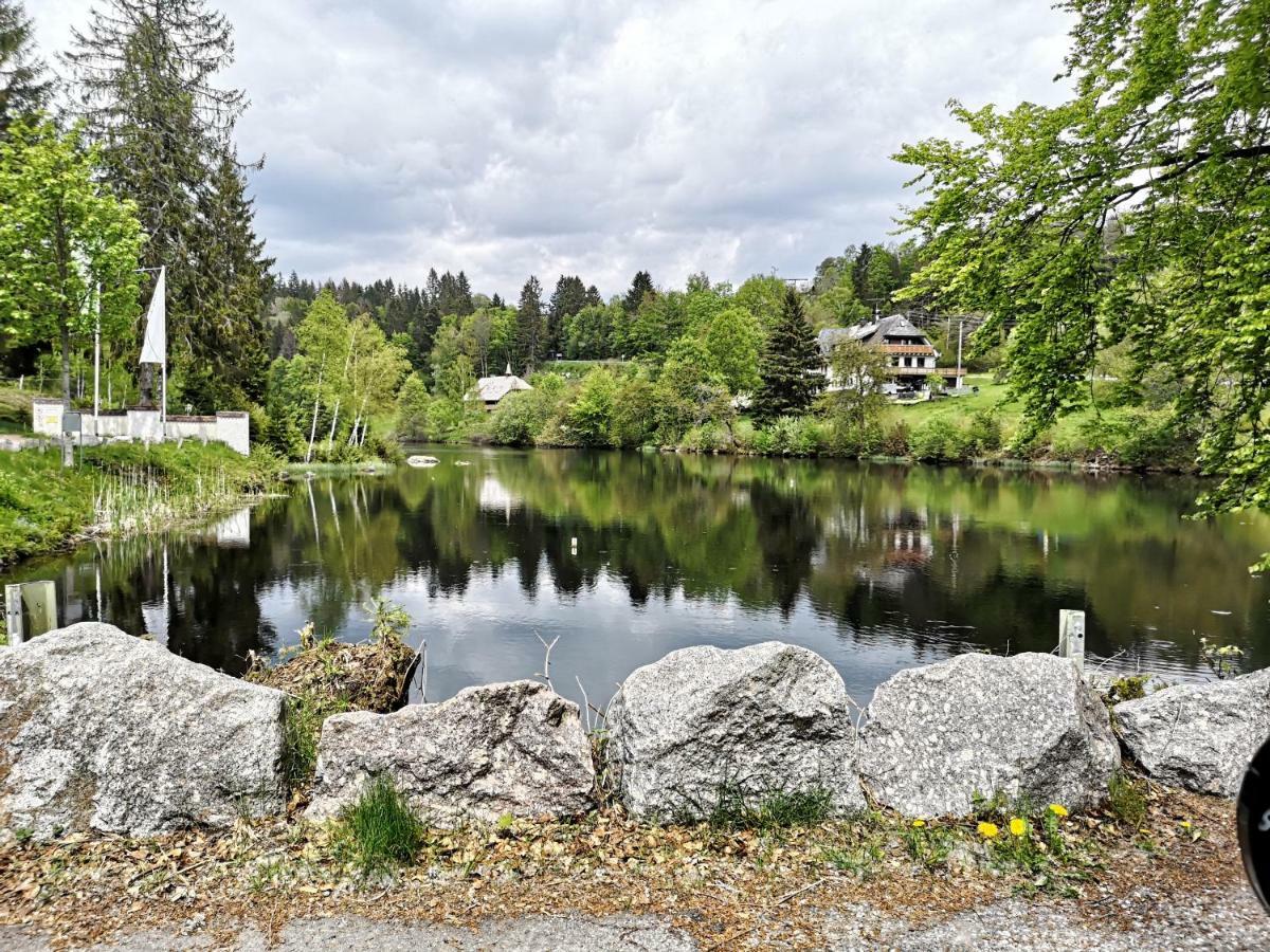 C3 Albmatte-Fewo Sauna, Hallenbad Aussenbecken Massagen Nebenan St. Blasien Εξωτερικό φωτογραφία